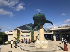 2日目の観光、まずは沖縄美ら海水族館。
入り口で1枚。順番を待って、3人一緒に撮ってもらいました。
