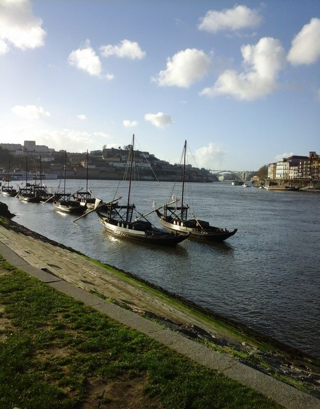 ツアーを待っている間、川岸で遊ぶ。<br />ドウロ川クルーズもできます。