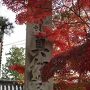 ２０１９年１１月　一人紅葉を愛でトラベラーさんとガブリエル シャネル アフタヌーンティーへ♪(後編)～@Four Ssasons Kyoto