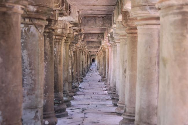 ■ 参道の下を潜り抜ける
