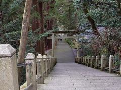 白山比め神社（しらやまひめじんじゃ）参道
今回は上の鳥居から入った為、ここは登らず上からの写真に

この参道とても落ち着く