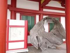 宝物館前に先代鳥居の足元がありました。大きい。

入口が自動ドアになってて10年の月日を痛感。内部は相変わらず寒い。