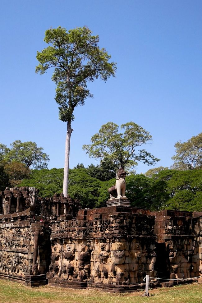 ■ 王宮の周壁の外に造られた象のテラス
