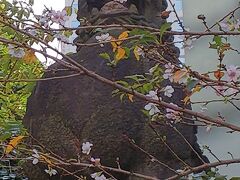 赤坂永田町にある　日枝神社
旧社格は准勅祭社　東京十社に数えられ官幣大社
主祭社は大山咋神（おほやまくひのかみ）
咋は、くひ、くいは杭　大きな山に杭をうつ山の神で、農耕・治水をつかさどる神とも。