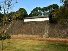 江戸城富士見多聞櫓
通常は一般公開されていない西の丸から望む。
本丸からだと平屋建ての建物にしか見えないが、この位置からだと石垣の上に建てられているのが分かる。