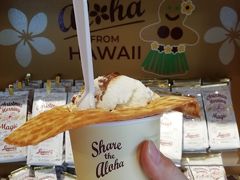 アラモアナセンターの帰りにヒルトンでトロリーを下車して、娘がチェックしていたラパーツのアイスを食べに！
こう見ると食べてばっかり～。