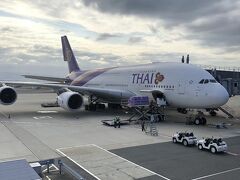 今回は関空から初出国。これから乗るA380。いつ見てもデカいクジラ系。