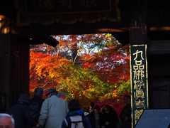 最期に向かうは九品仏浄真寺