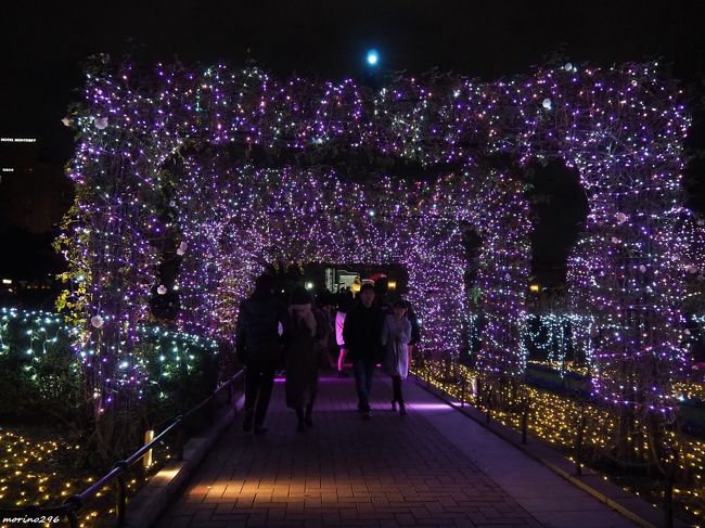 19 横浜のクリスマスイルミネーション 横浜 神奈川県 の旅行記 ブログ By Morino296さん フォートラベル