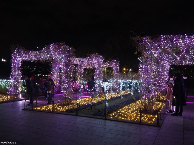 19 横浜のクリスマスイルミネーション 横浜 神奈川県 の旅行記 ブログ By Morino296さん フォートラベル
