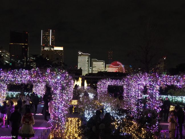 19 横浜のクリスマスイルミネーション 横浜 神奈川県 の旅行記 ブログ By Morino296さん フォートラベル 19 横浜のクリスマスイルミネーション 横浜 神奈川県 の旅行記 ブログ By Morino296さん フォートラベル