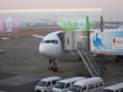 朝早くから羽田空港を出発します。７：１０発　ＪＡＬ２７７便にて出雲縁結び空港へ。