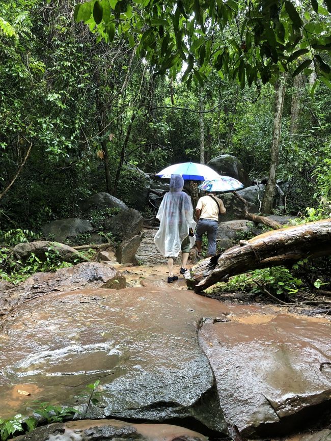 道なき道を進んでいきます<br /><br />でかい岩ゴロゴロ！　岩も雨で滑りやすく足元要注意！
