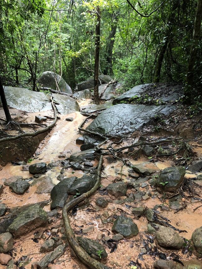 わかりずらいがこの岩を登ってきた！<br /><br />登るというより四つん這いになってよじ登るという感じ<br /><br />いや～過酷！！　周りの景色を楽しむ余裕が全くなし！<br />滑って転んだら大けがまちがいないよ～