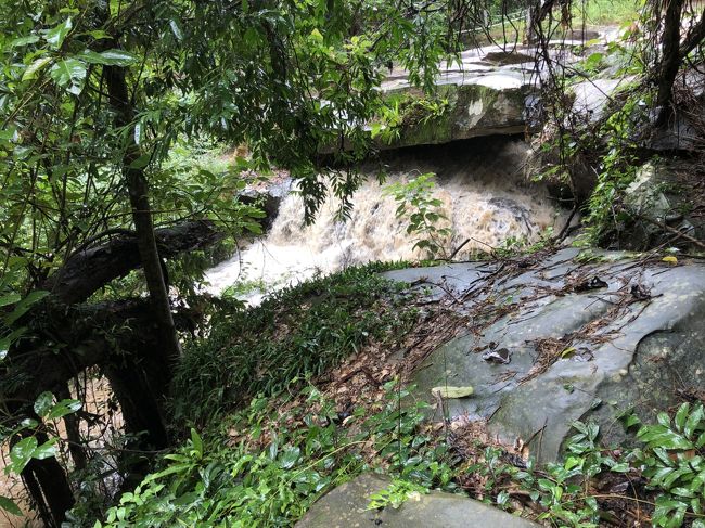 なんとか怪我せずに水中遺跡まで到着<br /><br />いや～さっきの土砂降りで見えるはずの遺跡が全く見えない！<br /><br />水も泥水で水中にあるべき遺跡のかけらも見えない！