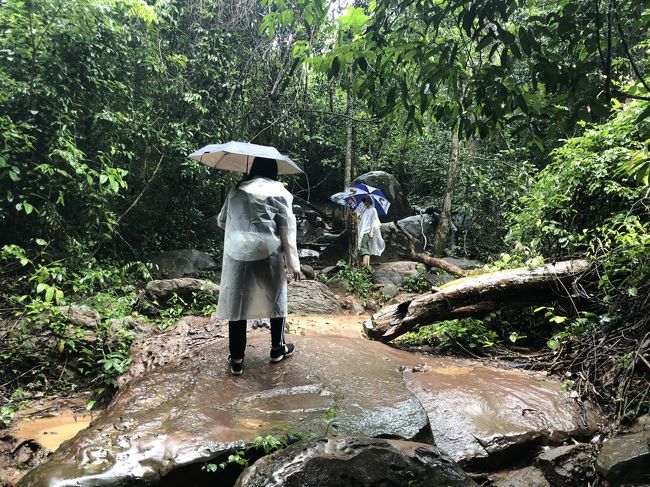 また、40分かけて戻ります<br /><br />お天気は少し小降りになり日差しも出てきました<br />しかし道は険しい～<br /><br />ガイドさんがたまにヒョウが出ることもあるんだよって言ってましたが<br />うっそうとしたジャングルの中で出てもおかしくないよなと納得です<br /><br />