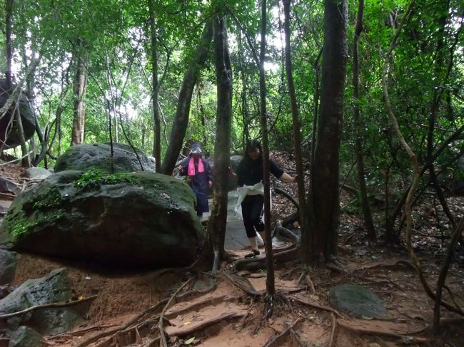 木の枝につかまりながら、なんとか全員生還です（笑）<br /><br />何度か転びながらみんな怪我せずに良かった！<br />お疲れ様でした！！