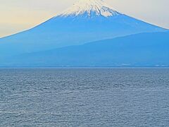 大瀬崎-1　大瀬神社境内・神池　　　　29/　　　　22