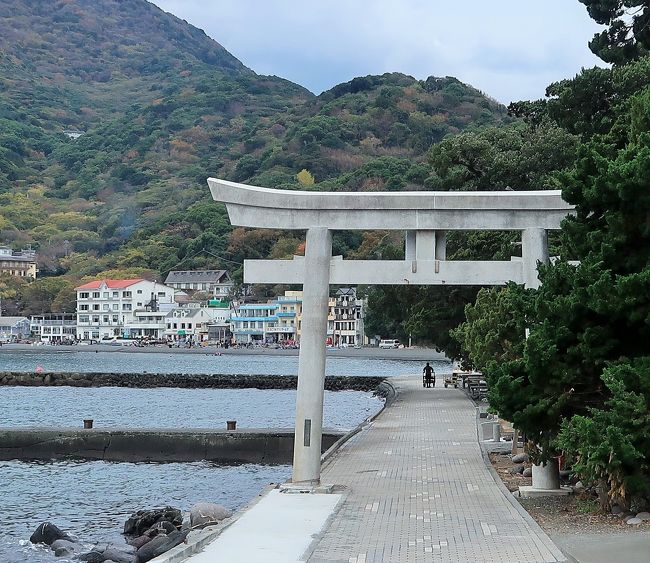 大瀬崎-1 大瀬神社境内・神池 海近くの淡水湖-コイ群れて ☆富士山間近のパワースポット