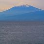 大瀬崎-1　大瀬神社境内・神池　海近くの淡水湖-コイ群れて　☆富士山間近のパワースポット