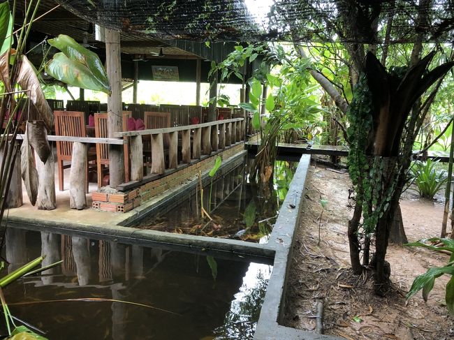 服もびしょびしょで着替えを済ませてから<br />街道沿いのローカルレストランでランチです<br /><br />ツアーのランチなのであきらめモード…<br />中庭に池があり金魚がたくさんいます<br /><br />