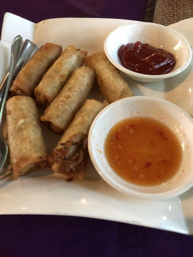 お決まりの春巻き<br /><br />しかっし、昨日も春巻きじゃん！<br />いくらツアー付きの食事だからってそこんどころ少しは考えて欲しいもんですね<br /><br />味は可もなく不可もなく…　