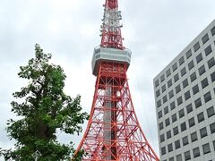 ものすごく久々の東京タワー。
スカイツリーもいいけど、やっぱりこの赤と白の電波塔がしっくりくる世代(笑)
観光客もたくさんで人気も健在です。