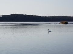 濤沸湖(とうふつこ)が見えてきました。