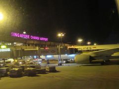 ほぼ定刻でシンガポールのチャンギ空港に到着しました。
人生初シンガポールです。