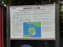 道の駅を後にして、垂水側から桜島へ。
黒神集落の所にあるのがこちら。

「黒神埋没鳥居」