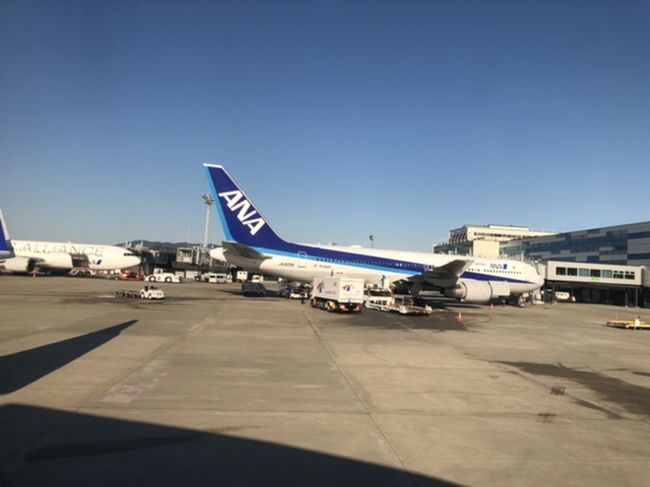 伊丹空港には駐機がたくさん。福島空港があまりに寂しかった。