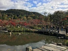 八坂神社の東側にある、円山公園に来ました。
