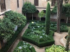 窓から見えるお庭です。
Patio de Lindaraja（リンダラハの庭）
「リンダラハ」というのは、「皇妃の目」という意味です。