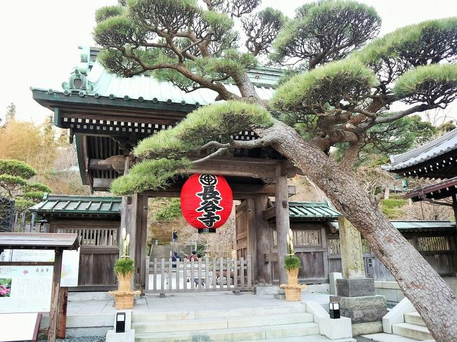19年末 嫁と冬の鎌倉デート 鎌倉 神奈川県 の旅行記 ブログ By くらげさん フォートラベル 19年末 嫁と冬の鎌倉デート 鎌倉 神奈川県 の旅行記 ブログ By くらげさん フォートラベル