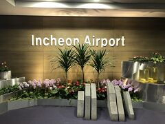 仁川空港の入国審査は長くかかるよ！と聞いてはいましたが、列の長さをみてびっくり!!!こんな長い列はディズニーランド以来です。