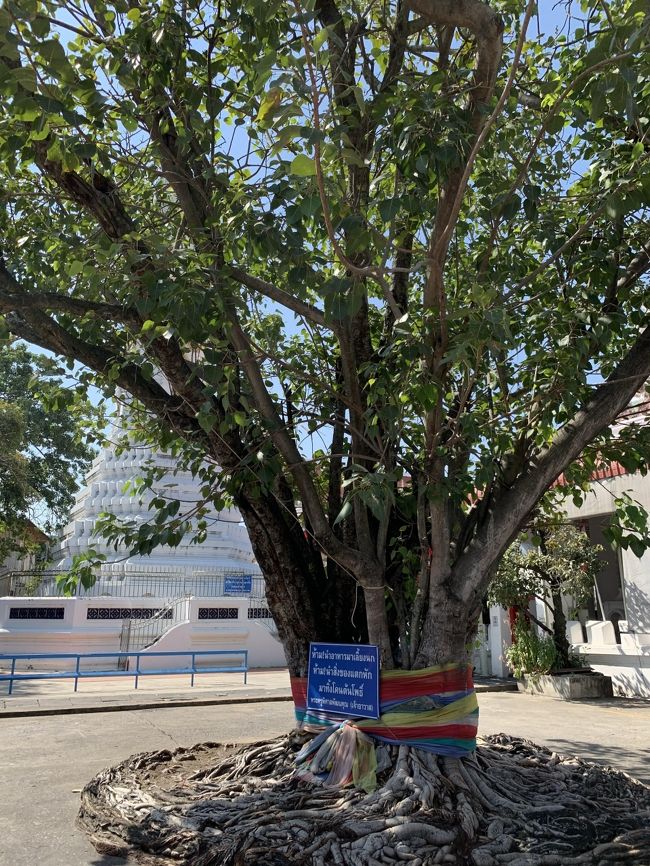 ワットパクナムからすぐ近くのところにもう一つちょっと面白いお寺があるみたいなので行ってみたいと思います。