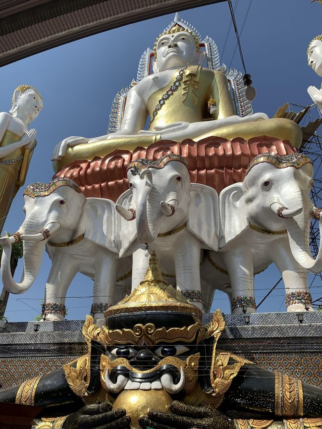 正面から見るとこんな感じでした。