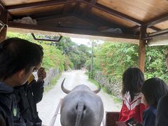 バス観光が終わったら水牛車での観光。竹富島で引いてくれるのは水牛のアーター君。ここが竹富島のメインストリート。

