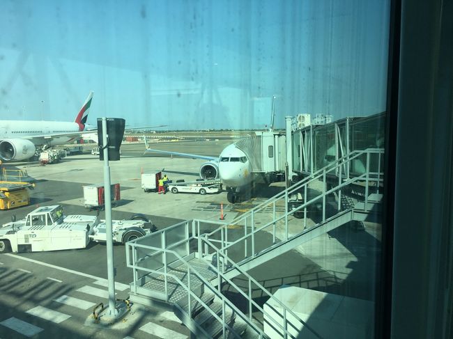 この時は本帰国の予定だったので、タンザニアともお別れかと寂しい気持ちでの搭乗でしたが、再びタンザニアに赴任するとはつゆにも思っていませんでした。