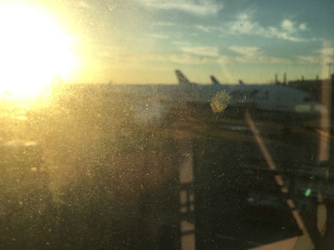 無事帰国です！！！<br />今後もタンザニア滞在記、宜しくお願い致します(^^♪