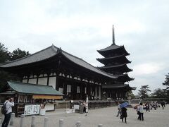 　次は興福寺です。
　手前の建物は東金堂、奥は五重塔で，いずれも国宝の建物です。