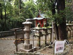 すぐ隣に
第十四番　金龍神社　「発達」
金龍大神
開運財運を守る
台風の被害で立ち入り禁止になってます。大風で折れた枝が落ちる心配があるらしい。
