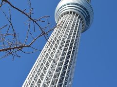 子連れでスカイツリーからのディズニーランド 東京ディズニーリゾート 千葉県 の旅行記 ブログ By ちぶ珍さん フォートラベル