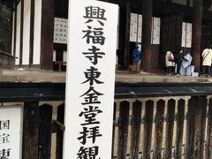 初日はちょっとだけ興福寺を見学しました。
興福寺東金堂は有料です。