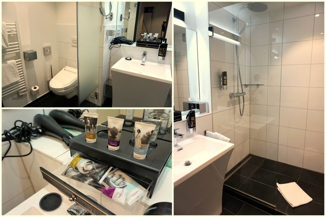 バスルームはシャワーのみですが、レインシャワーとハンドシャワー。<br />ドライヤーあり。<br />洗面台上の箱に、バスアメニティーが入っていました。<br /><br />この旅は移動が多く、かつ雪でも降ったらと、駅に近いホテルにしました。<br />ホテルを選ぶにあたり、トラベラーの”Amalfi-whiteさん”に触発されて、アコー・グループにこだわってみた。<br /><br />狭い部屋もあったけれど、どこも機能的。<br />アメニティーが必要最低限のホテルでも、ドライヤー完備。<br />ティッシュも助かった。なにせ、途中から風邪を引いちゃったので。（^^;<br /><br />この部屋は、84.55ユーロ（会員料金）。<br />フランクフルトはスルーが多いのですが、これまで泊ったホテルは満足いかなかったのです。<br />でも、ココはいいね！フランフルトに泊まることがあったら、また利用したい。