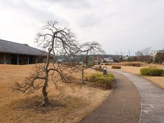 富山県水墨美術館　敷地を平たく使っています　空が広い　広々
ぐるっとBUS下車すぐですが時間があえば。富山トヨペット本社前で降りて徒歩10分位です