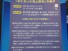 ほたるいか海上観光は幼子社会勉強で連れて行きたいなと思うが
夜中2:30集合はきつい