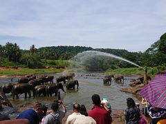 象の水浴び
最近の象は昔ほど自分で寝転んで水浴びしないと。
た、確かにー…