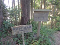 階段を登り切ると高野七口女人道に出ました。
弘法大師廟のある奥の院を囲む摩尼山、楊柳山、転軸山は高野三山と称される山々は、明治５年に解除されるまで女人禁制で山内に立ち入ることのできませんでした。そこで御廟を拝みたいという信仰の心がある女性や、身内で出家した人をひと目見ようとの思いの女性たちが辿った尾根道がこの高野七口女人道です。
ちなみに高野山は高野の平原を取り囲む峰々を「蓮」の花になぞらえて「内八葉・外八葉」の二重の蓮の八葉（花弁）に見立てられました。その「外八葉」の峰々を巡るのが女人道でもあります。