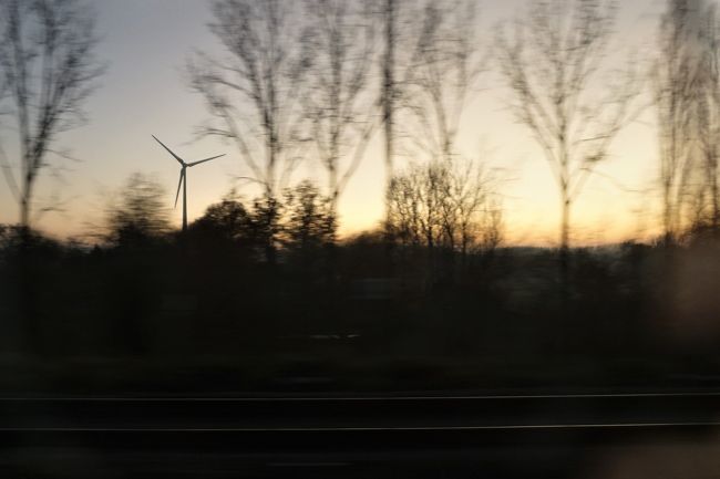 この日の予定は、これで終わりではありません。<br />グランプラスの音と光のショー、クリスマス・マーケット、念願のムール貝、欲張りの1日はまだまだ続く！